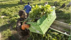 EPISTROFH_STHN _YPAIURO