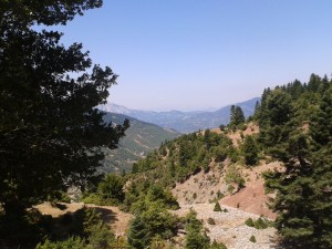 ΆγραφαΚαρδίτσας