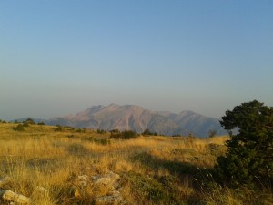 ΆγραφαΚαρδίτσας2