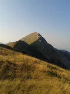 ΆγραφαΚαρδίτσας1